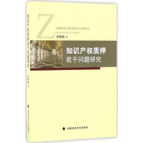 知识产权质押若干问题研究