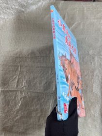 小角马的勇敢之旅(精装) 绘本 小月亮童书|