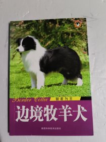 边境牧羊犬 （智者为王）