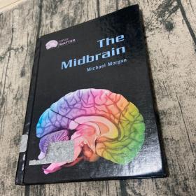 The Midbrain