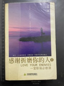 感谢折磨你的人2：一堂职场必修课
