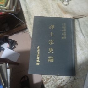 净土宗史论（现代佛教学术丛刊）