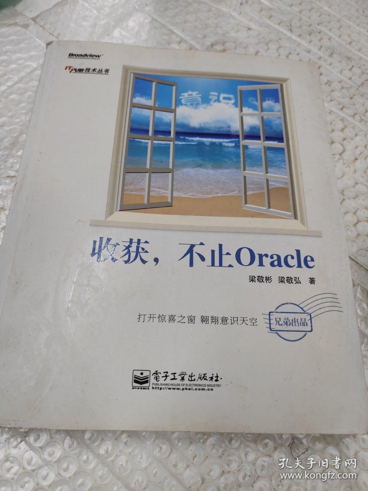 收获，不止Oracle