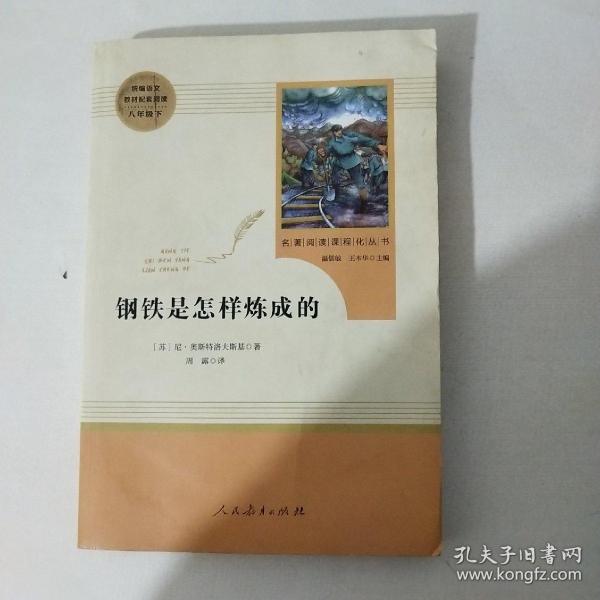 统编语文教材配套阅读 八年级下：钢铁是怎样炼成的/名著阅读课程化丛书