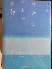 雨滴在卡夫卡墓碑上