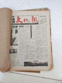 荆州文化报，1994年合订，