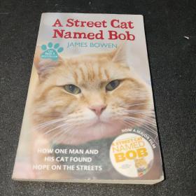 A Street Cat Named Bob：How one man and his cat found hope on the streets