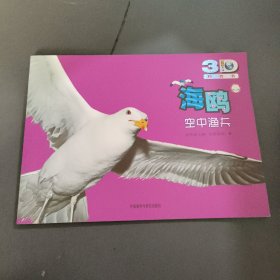 海鷗空中漁夫