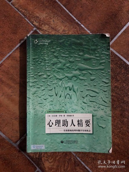 心理助人精要：有效能地处理问题并发展机会