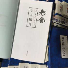 老舍小说精汇21册全