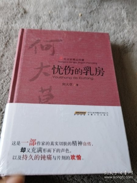 当代名家精品珍藏：忧伤的乳房