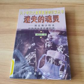 迷失的魂灵--湖北荆沙特大抢劫团伙案侦破纪实