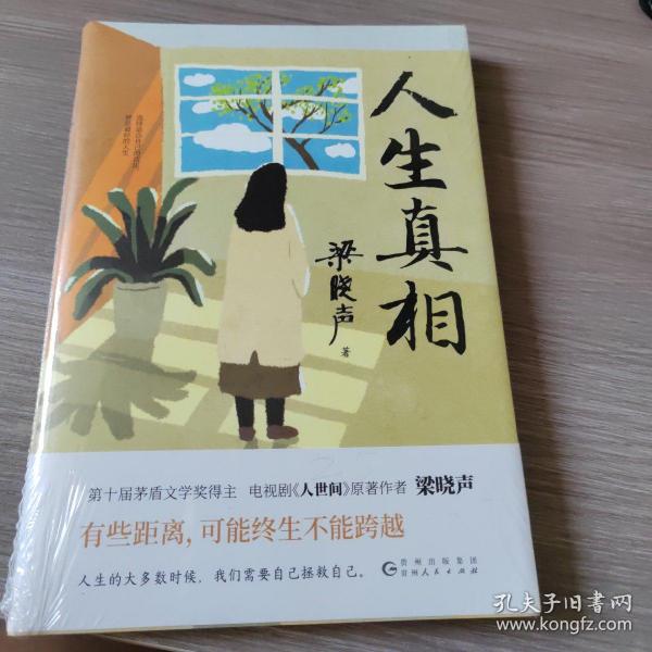 人生真相（第十届茅盾文学奖得主、电视剧《人世间》原著作者梁晓声，致敬生活中的每一个孤勇者!）