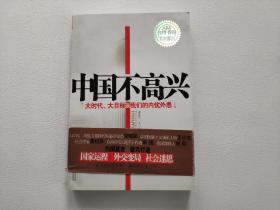 中国不高兴：大时代大目标及我们的内忧外患