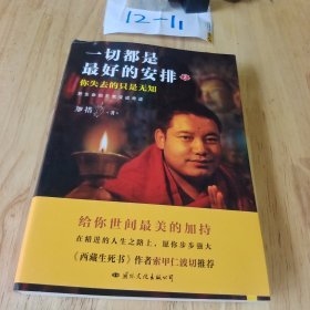 把生命的无常变成奇迹 ：一切都是最好安排2