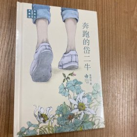 黄蓓佳长篇小说典藏版：奔跑的岱二牛