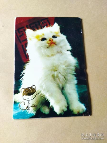 小猫明信片