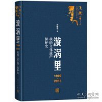 漩涡里：1990-2013我的文化遗产保护史（）