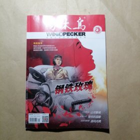 啄木鸟 2024 4