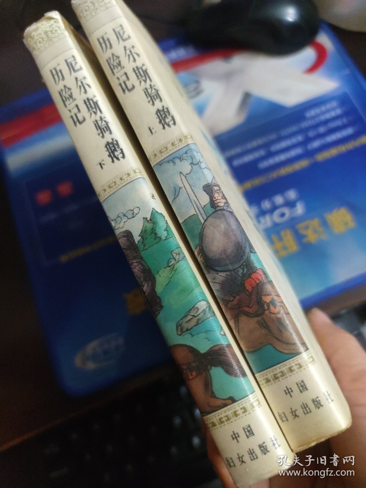 尼尔斯骑鹅历险记 上下