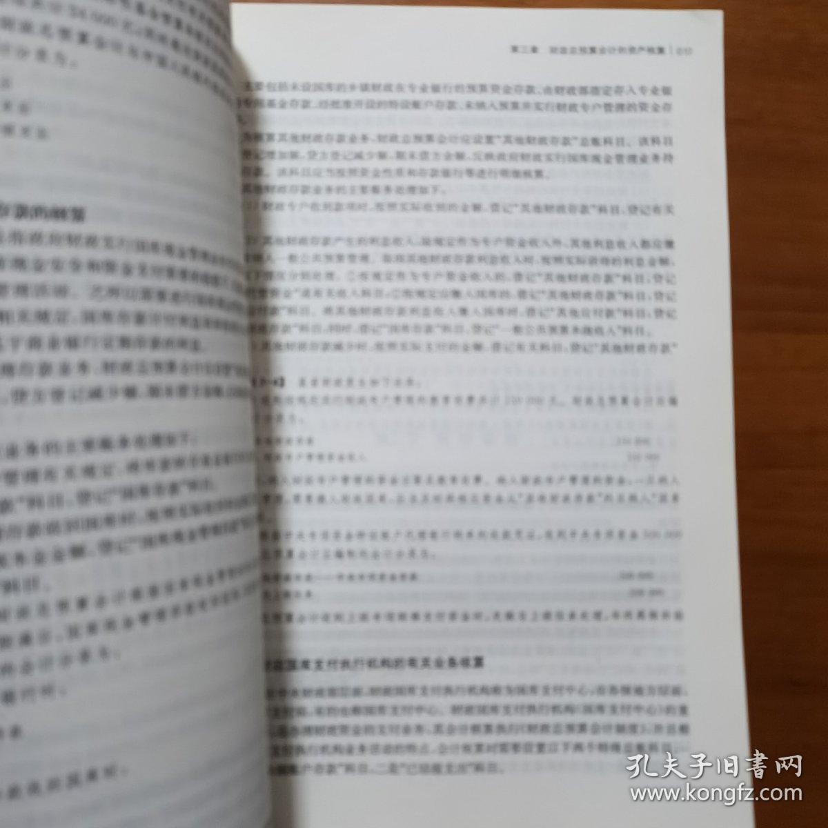 新编政府会计(李海波)（放13号位）