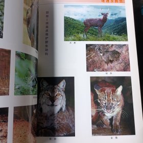 白马雪山国家级自然保护区