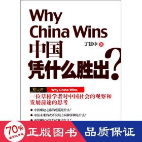 中国凭什么胜出 政治理论 丁建中