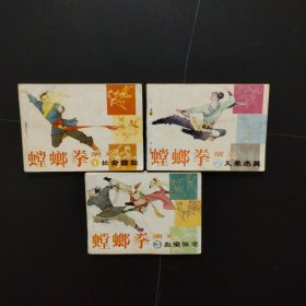 连环画：螳螂拳演义 1.长安雪耻 2.义杀杰英 3.血染张宅（3本合售）