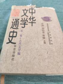 中华文学通史（全十册）