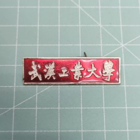 武汉工业大学校徽(老师)