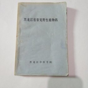 黑龙江省常见野生植物药7.8包邮