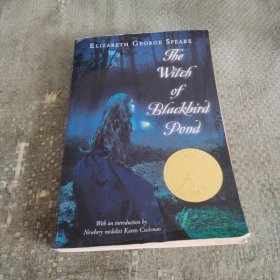 The Witch of Blackbird Pond