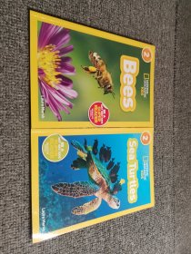 National Geographic Readers: Sea Turtles美国《国家地理》杂志-儿童科普分级阅读,第2级：海龟 ,蜜蜂英文原版