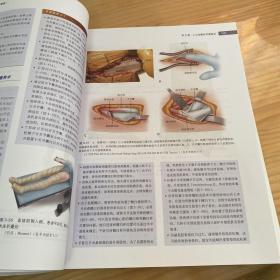 关节外科（普及版）/坎贝尔骨科手术学（第13版 第1卷）