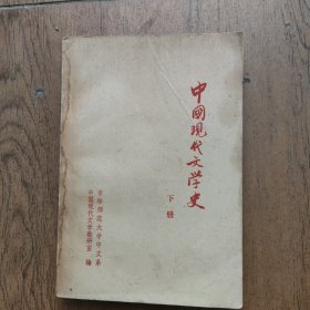 中国现代文学史（下册）