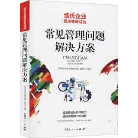 绩优企业是这样炼成的 常见管理问题解决方案 9787204163533