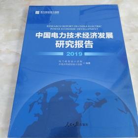 中国电力技术经济发展研究报告. 2019