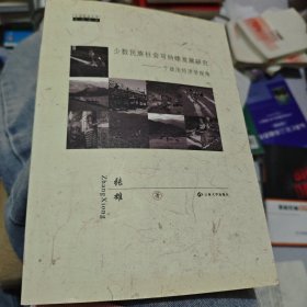 少数民族社会可持续发展研究：一个政治经济学视角