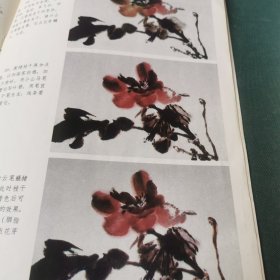 芍药牡丹画法