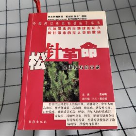 松针革命：健康长寿启示录