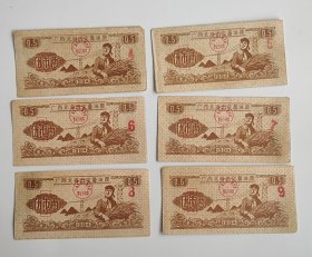 1984年广西北海市定量油票伍市两6种月份，71年北海市粮食局粮票