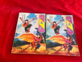 小流浪（上下册）
