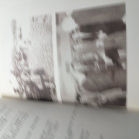 霞光流彩 吕霞光纪念文集