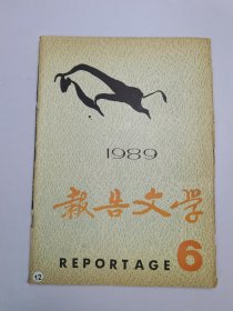 报告文学1989年6