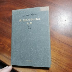 费·陀思妥耶夫斯基全集 22