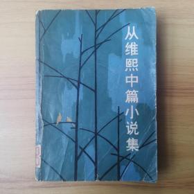 从维熙中篇小说集