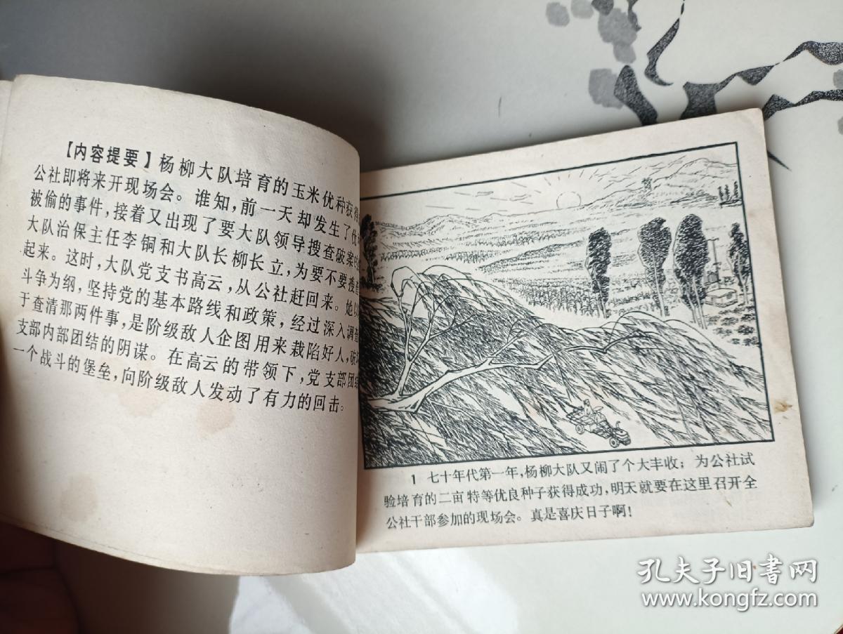 连环画 战斗的堡垒