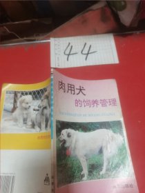 肉用犬的饲养管理