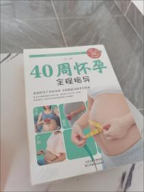 40周怀孕全程指导