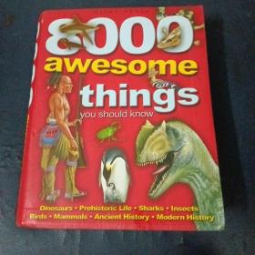 8000awesome  things